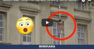 Nackter Mann klettert aus dem Buckingham Palace – Wirklich?