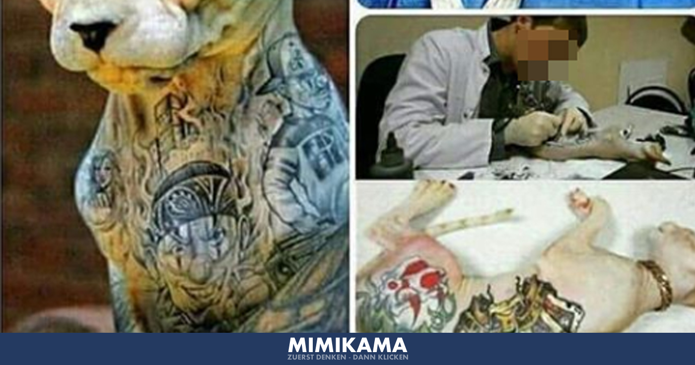 Faktencheck: Tattoo-Studios für Tiere?