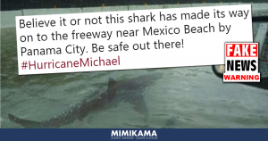Bracht orkaan Michael haaien naar Panama City