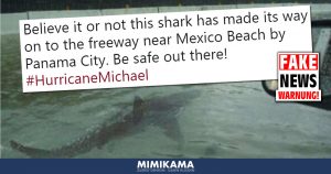 Brachte Hurrikan Michael Haie nach Panama City?