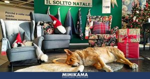 Eine IKEA-Filiale in Sizilien bietet Streunern Unterschlupf