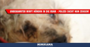 Unbekannter wirft Hündin in die Ruhr – Polizei sucht Zeugen