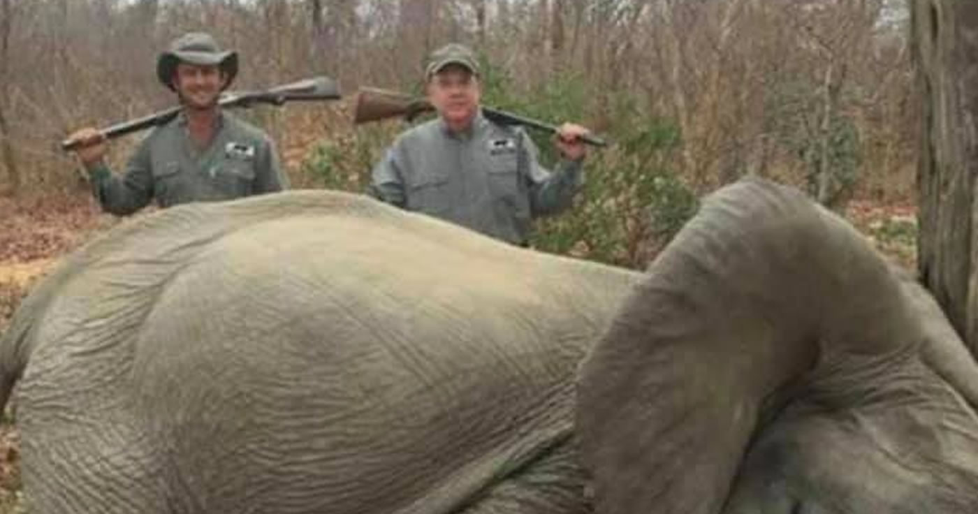 "Buzz" und Mike Jines posieren mit totem Elefanten.