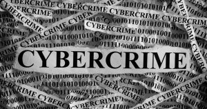 Small and medium-sized businesses see cybercrime as the greatest danger