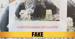 Fake!  Kein Komodowaran aus dem Opel-Zoo entlaufen!