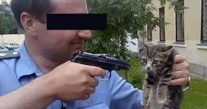 Facebook: Polizist richtet Waffe auf ein kleines Kätzchen!