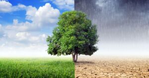 Klimaschutz ist Gesundheitsschutz: Was wir selbst tun können