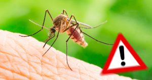 Faktencheck: Verbreitet sich Malaria in Europa und im Mittelmeerraum als Folge des Klimawandels?