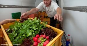 Berliner Bezirksamt hat Tafel-Lebensmittel als Einkommen berechnet