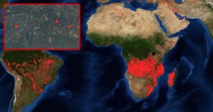 Die Brände in Südamerika und Afrika: Zoomt näher ran!