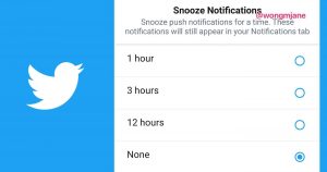Twitter is planning a “snooze button” for notifications