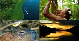 Video: Fünf Fakten über den Amazonas