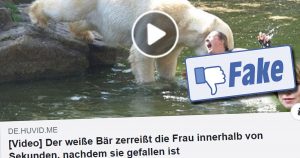 Clickbait-Falle mit einem angeblichen Eisbären-Video