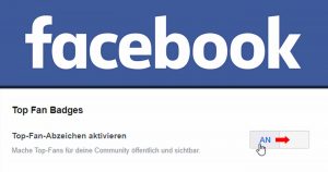 Facebook page operator: How to remove the top fan function