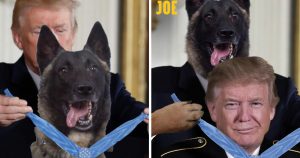 Trump und der Hund