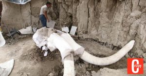 14.000 Jahre alte Mammutfalle entdeckt