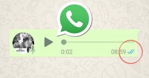 Avoid blue ticks on voice messages? This is how it works. 