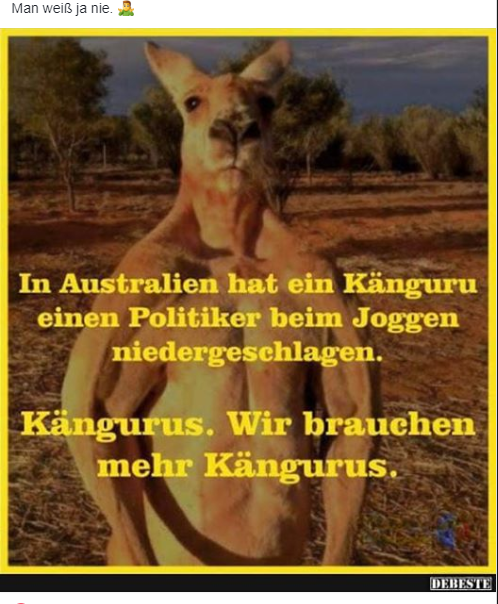 Die Geschichte mit dem Känguru