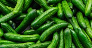 Germany: Virus infects cucumbers