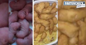 Rat nuggets in a Chinese restaurant (fact check)