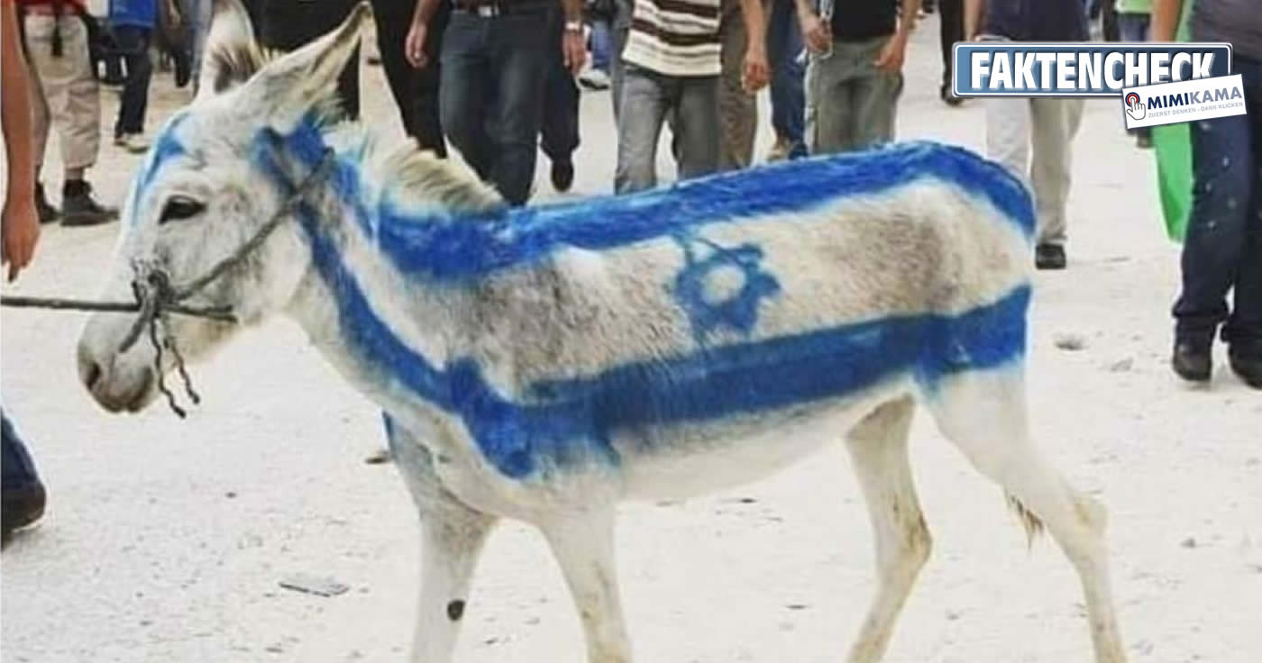 Faktencheck zum Esel mit der aufgemalten Flagge