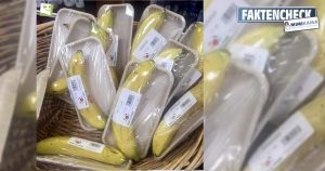 Kein Fake – Einzeln in Plastik verpackte Bananen