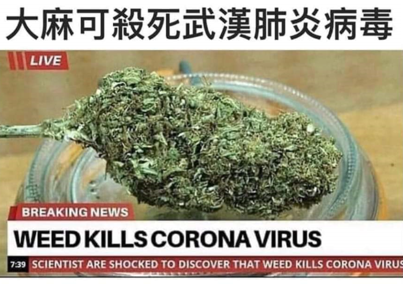 "Weed kills Corona Virus"
