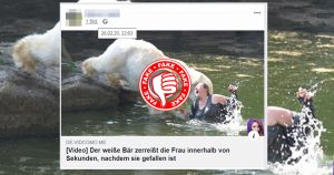 Clickbait on Facebook: The video with the polar bear and the woman