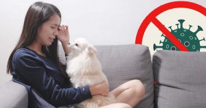 Coronavirus: Is China ordering the killing of pets? (fact check) 