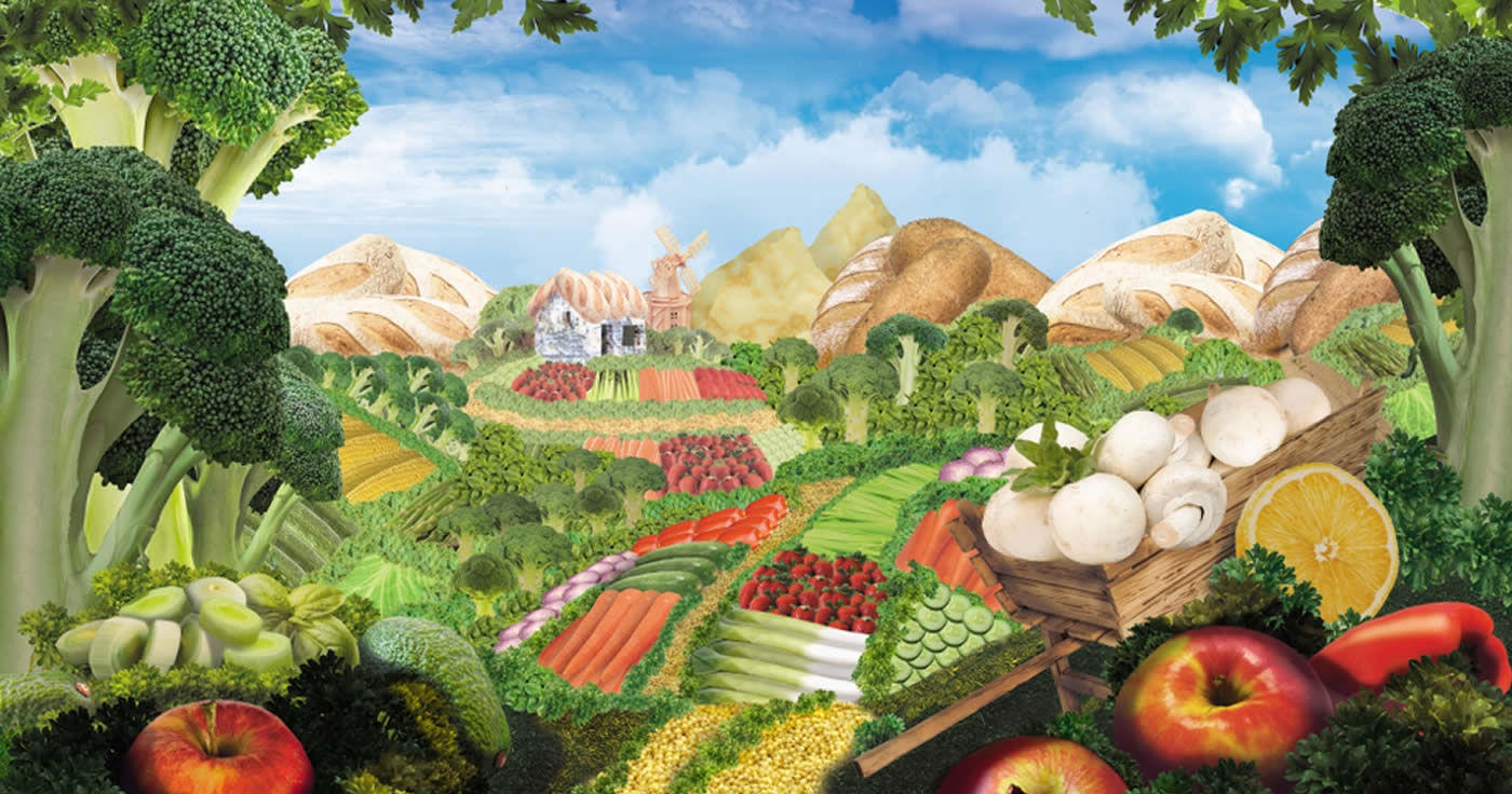 Foodscaping – In jedem Garten verschiedene Gemüsearten!