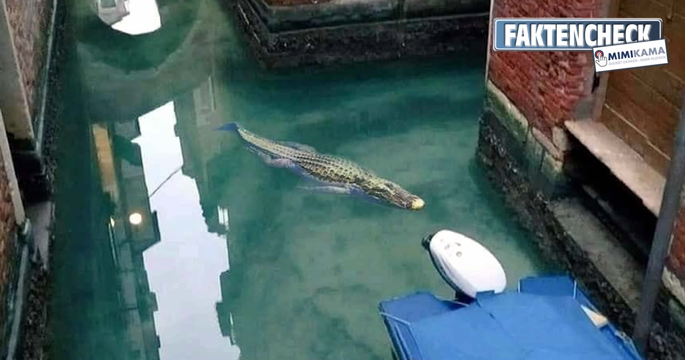 Venedig und der Alligator