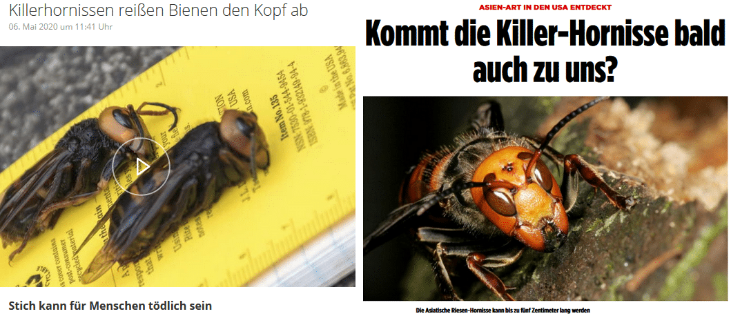 Quellen: Wetter, BILD
