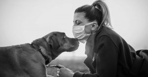 Study confirms: Dogs can sniff out corona infection