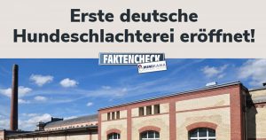 Fake: Es gibt keine Hundeschlachterei in Deutschland