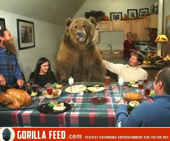 Ein Grizzly-Bär als bester Freund (Faktencheck) – mimikama.org Screenshot Gorillafeed - Grizzly samt Menschenfamilie