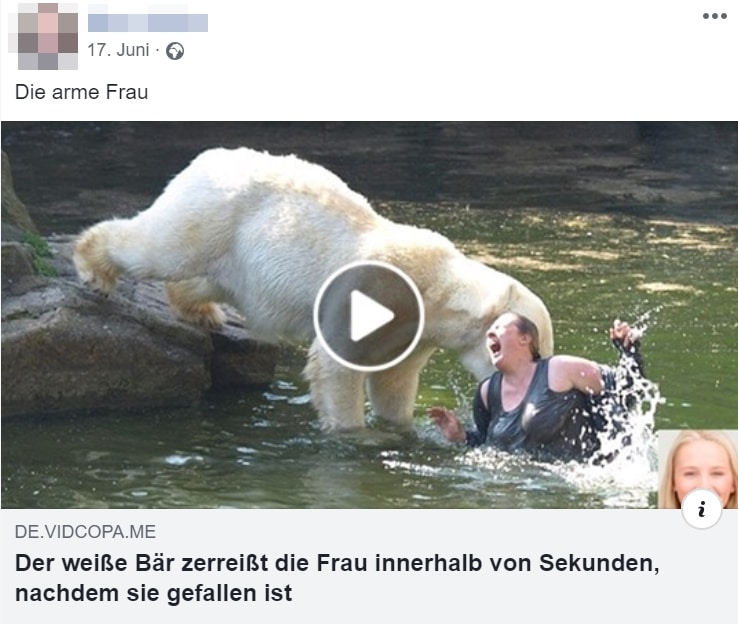 Achtung vor dem Video, wo ein Eisbär eine Frau tötet – mimikama.org Screenshot Facebook-Statusbeitrag