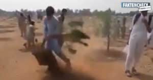 Video: „Bäume pflanzen ist gegen den Islam“ (Faktencheck)