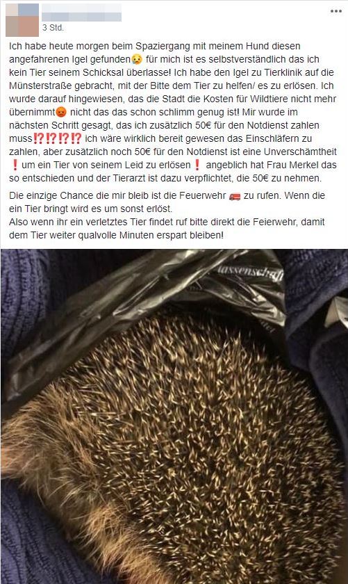 Screenshot des diskutierten Facebook-Beitrags Screenshot des diskutierten Facebook-Beitrags