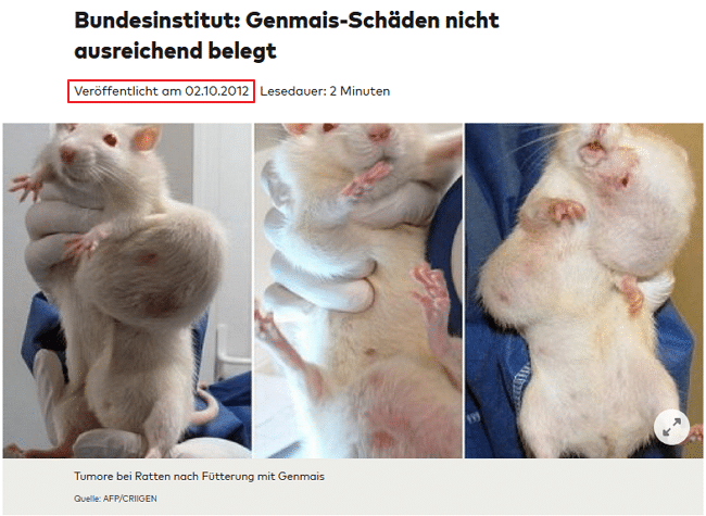 Artikel über Genmais-Schäden bei Ratten