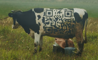 Die Kuh mit QR-Code