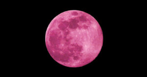 Celestial spectacle: The “Pink Moon” appears on Tuesday