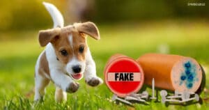Fake News über Hundeköder