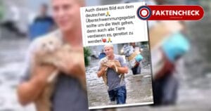 Mann rettet zwei Katzen: Foto stammt NICHT aus Deutschland