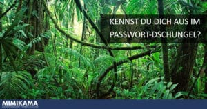 Understanding the password jungle?