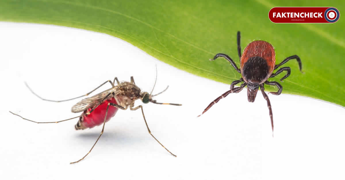 Zecken und Mücken: Können die Plagegeister das Coronavirus übertragen?