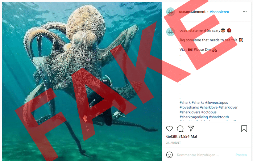 Der Taucher und der Oktopus: Ein kleiner Photoshop-Genuss – mimikama.org Der Taucher und der Oktopus - Ein Fake