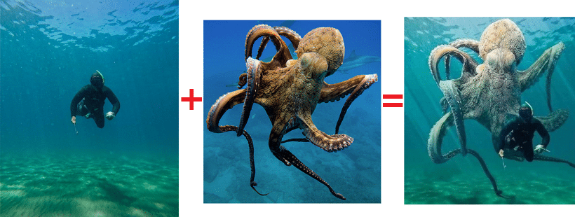 Der Taucher und der Oktopus: Ein kleiner Photoshop-Genuss – mimikama.org Die Bildkombination