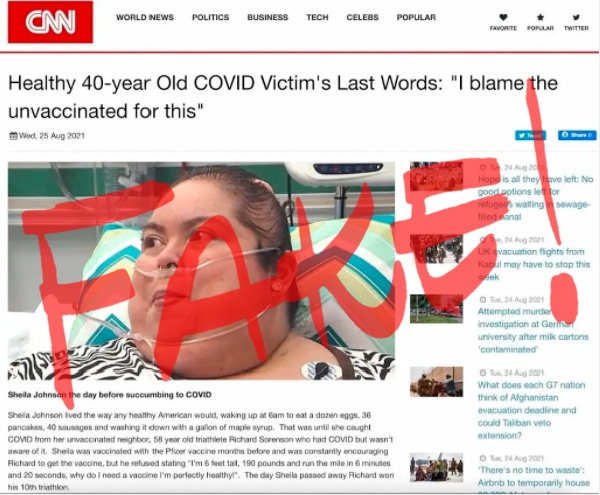Screenshot Instagram / gefälschter CNN-Artikel