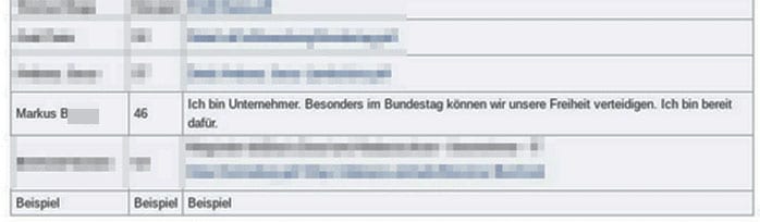 Screenshot aus den geleakten Daten zur Bewerbung