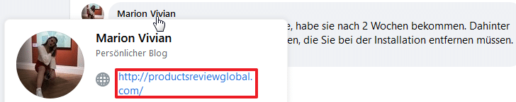Einer der dubiosen Kommentare unter dem Beitrag